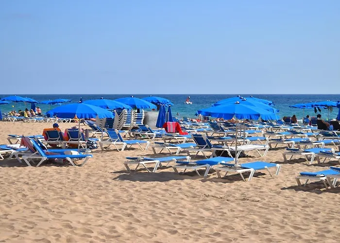 Caballos Vip Playa Levante